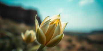 how small thoughts turn into big ideas