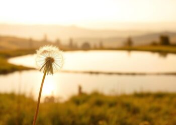 why simple thoughts can be the most profound